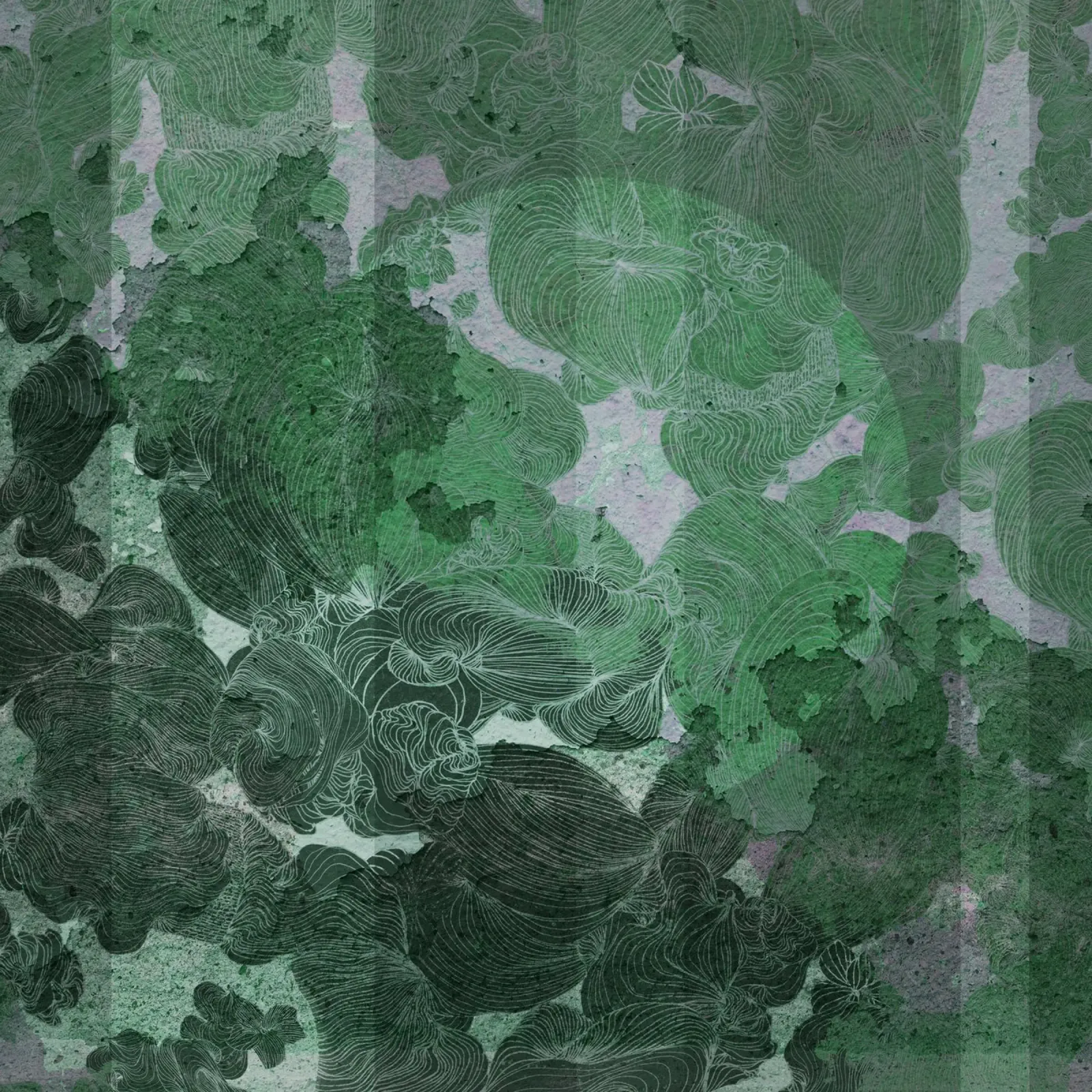 green canvas by Giulio Iurissevich