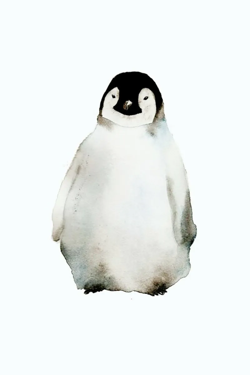 Penguin pellicola backlit da Larissa van der Laan