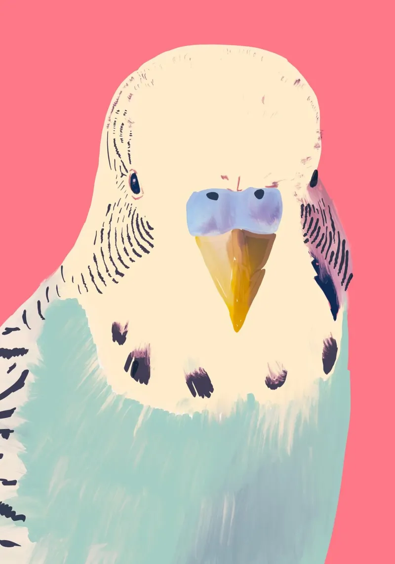 Parrot 5 pellicola backlit da LeaDArt