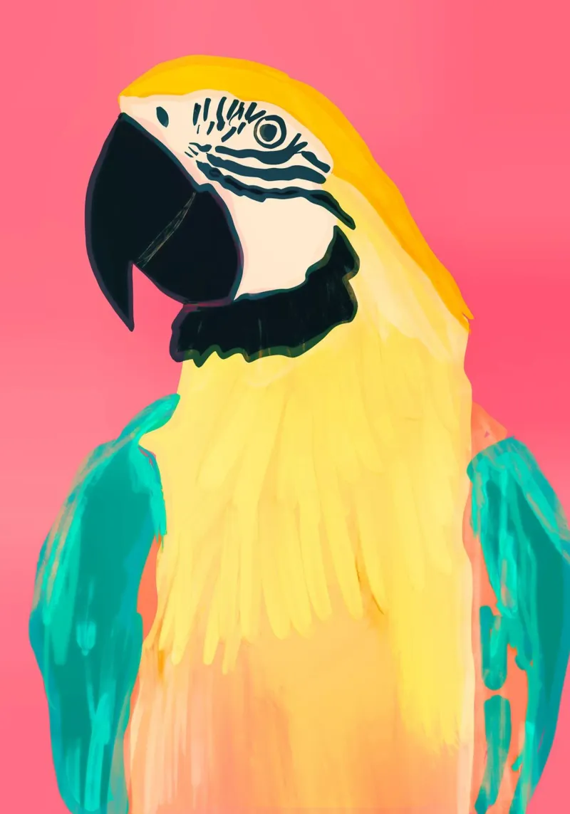 Parrot 4 pellicola backlit da LeaDArt