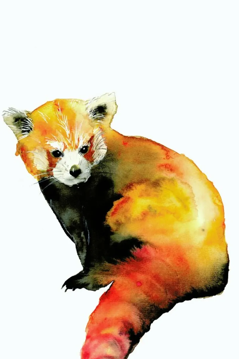 Red Panda pellicola backlit da Larissa van der Laan