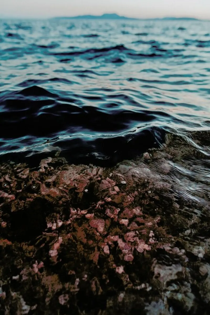 Water II pellicola backlit da Sebastian Hilgetag