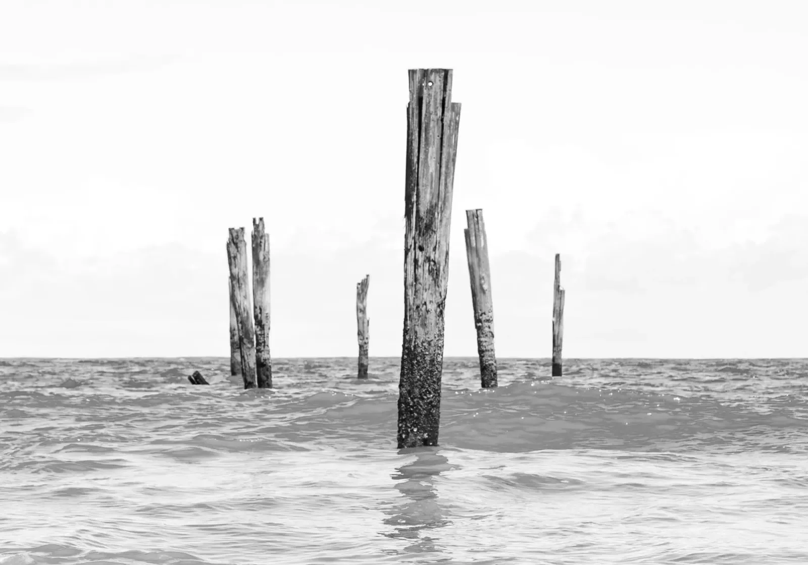 Paesaggio marino #2 carta hahnemühle da rafael campezato
