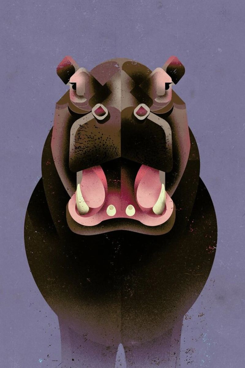 Hippo Poster von Dieter Braun