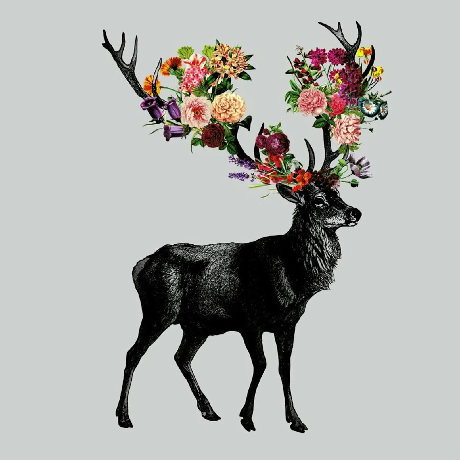 Sprint Itself Deer Floral pellicola backlit da Tobe Fonseca