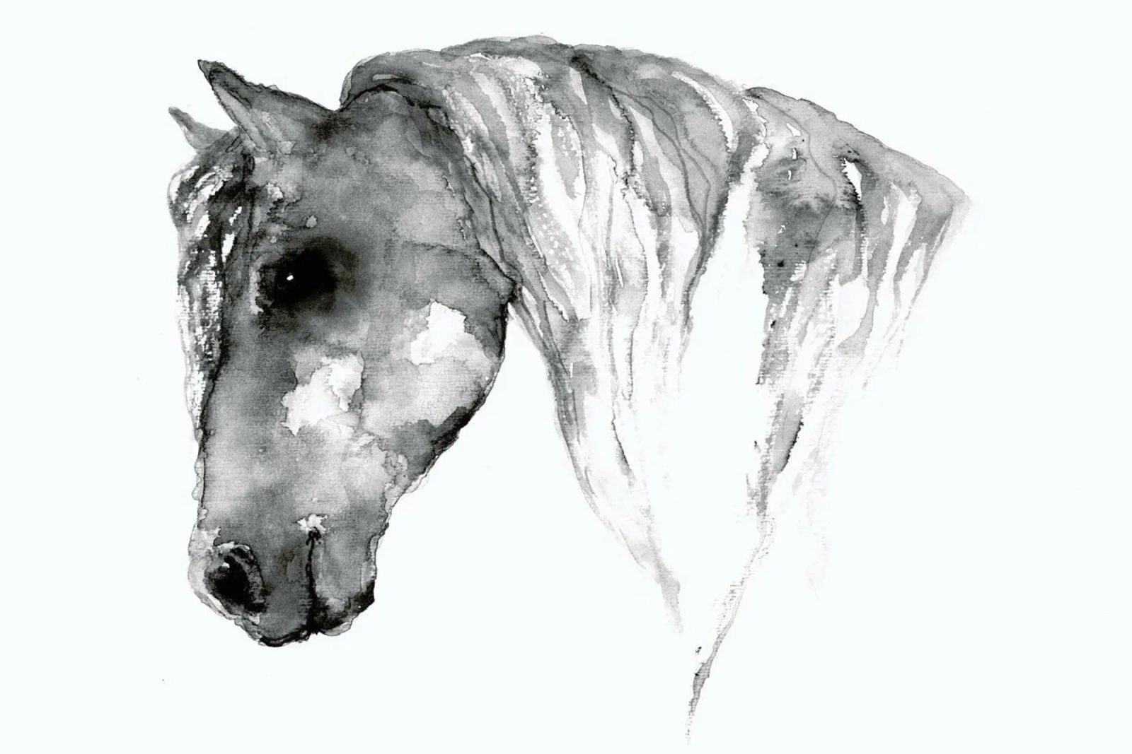 Grey Horse poster by Larissa van der Laan