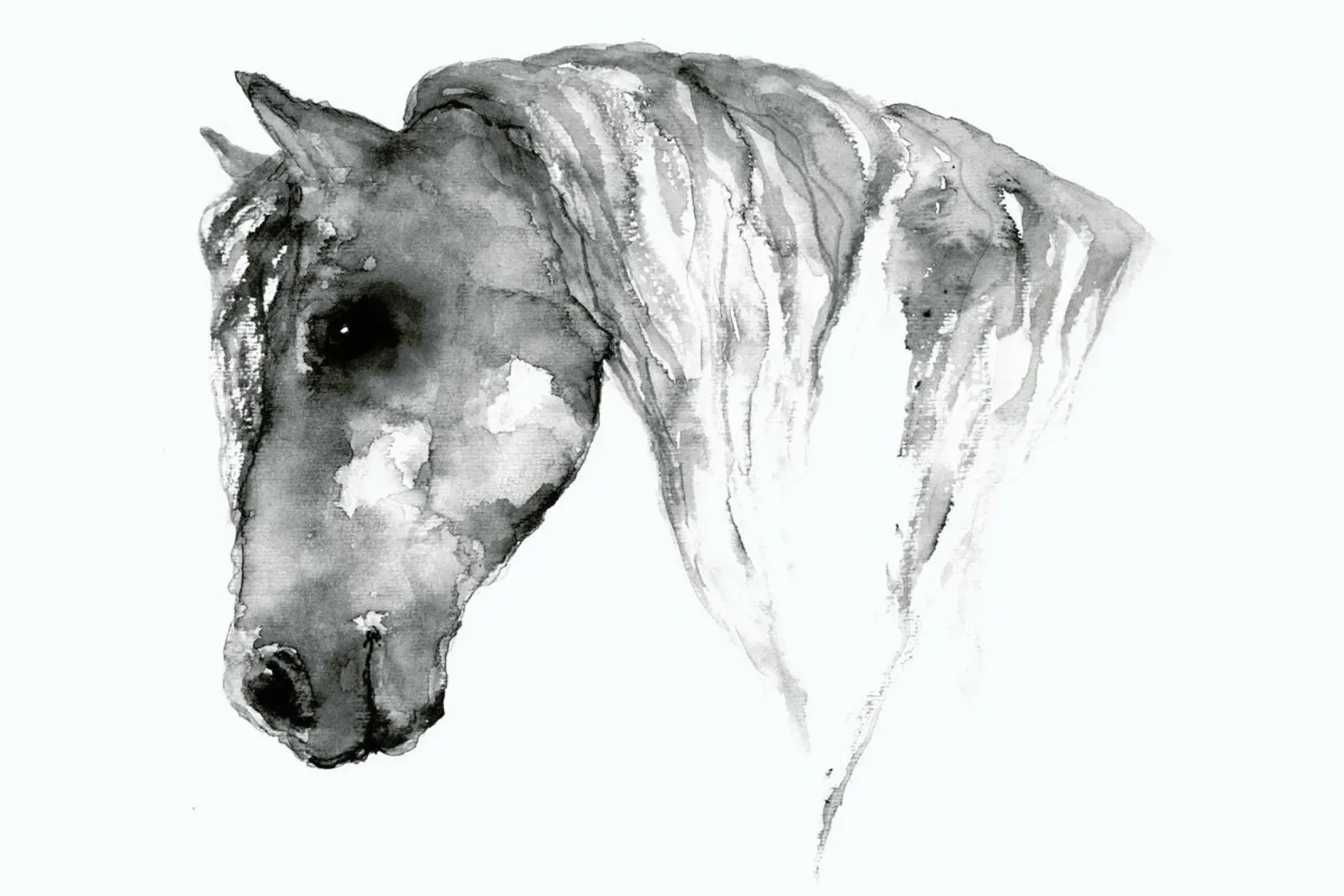 Grey Horse pellicola backlit da Larissa van der Laan