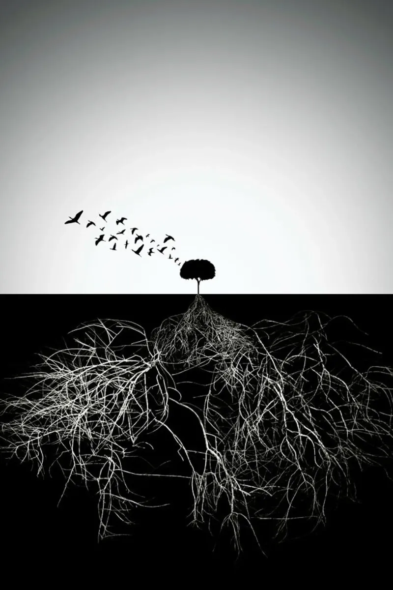 Do Not Judge According to Appearance - Souren Arslanian hahnemühle de Pictufy