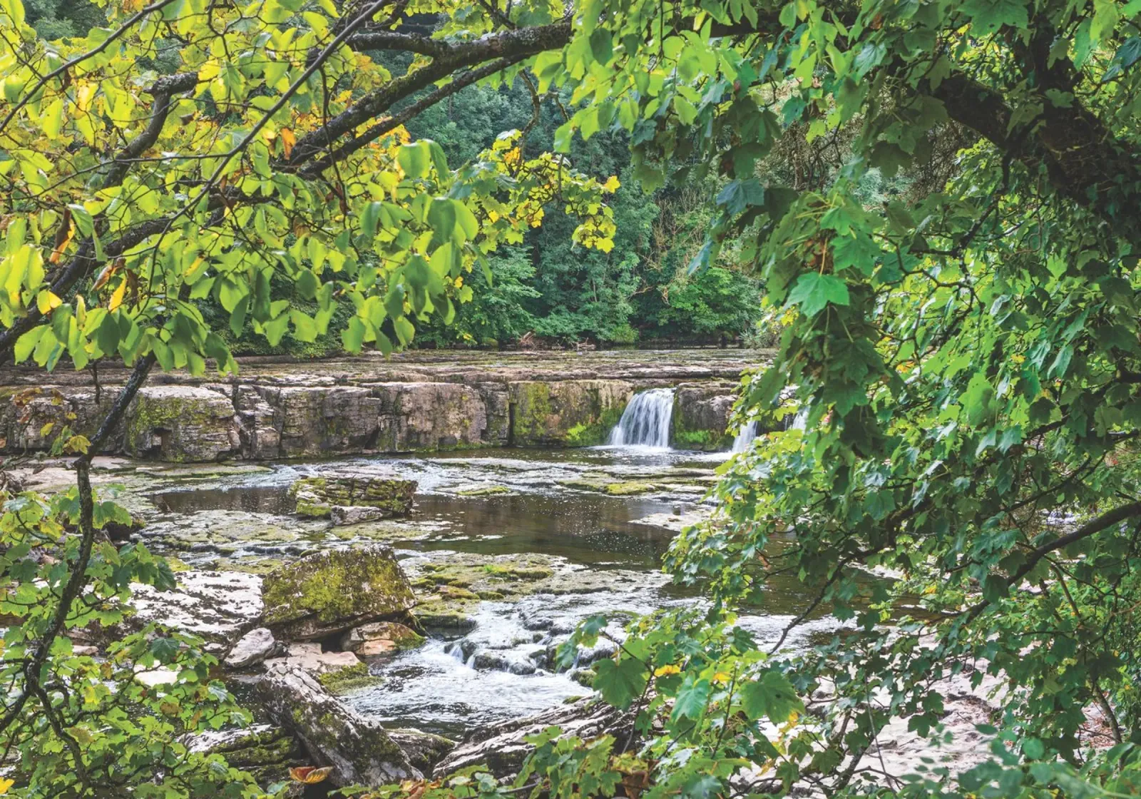 Aysgarth Falls pellicola backlit da Dave Hare Photography