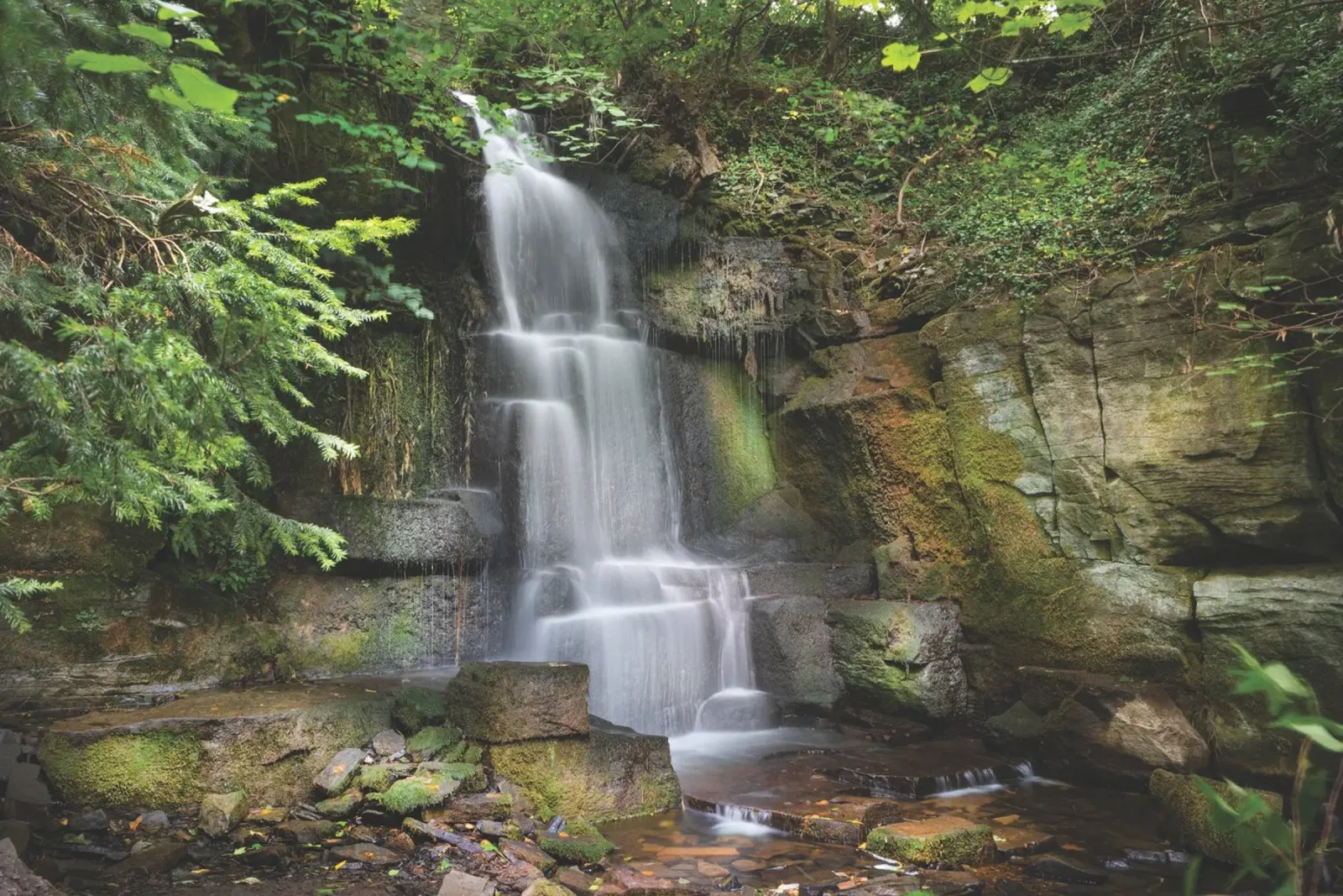 Harmby Falls pellicola backlit da Dave Hare Photography