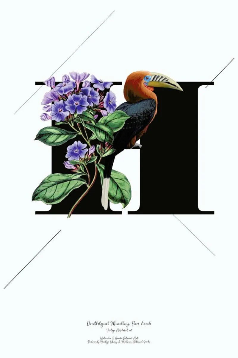 Botanical Alphabet - H pellicola backlit da Froilein Juno