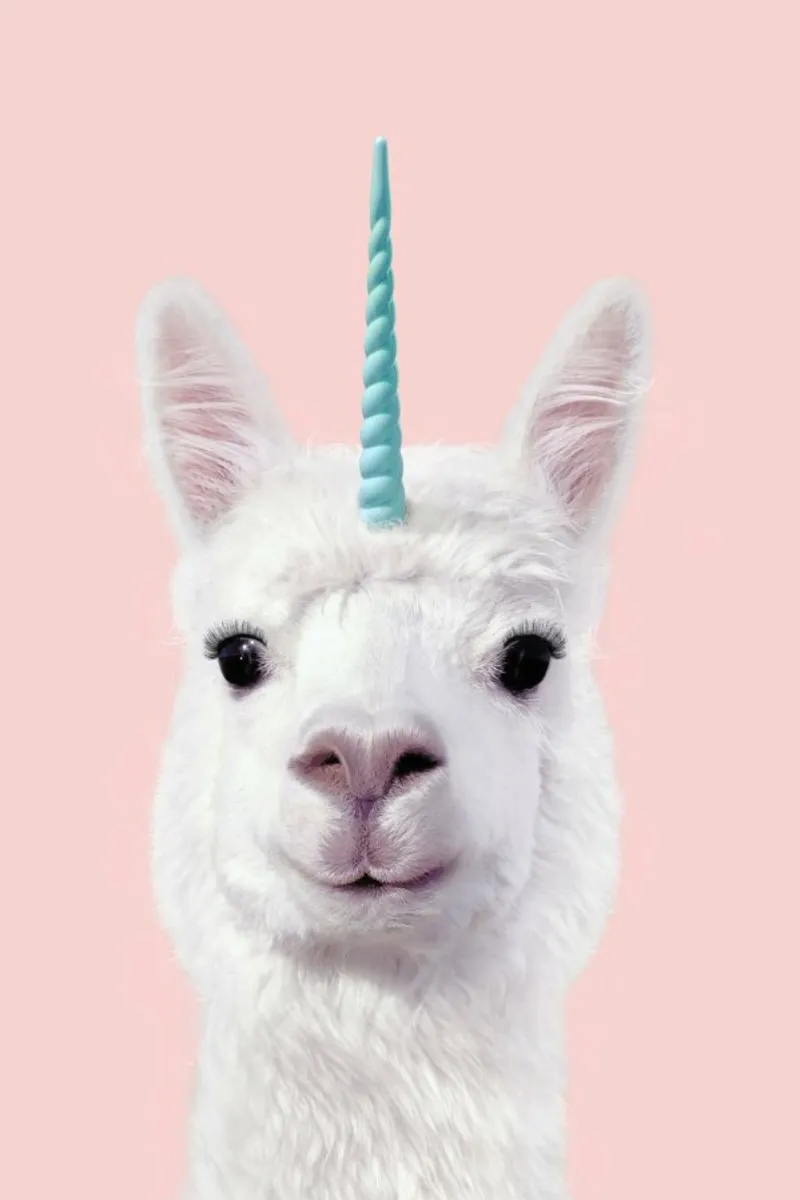 Alpaca Unicorn pellicola backlit da Paul Fuentes Design
