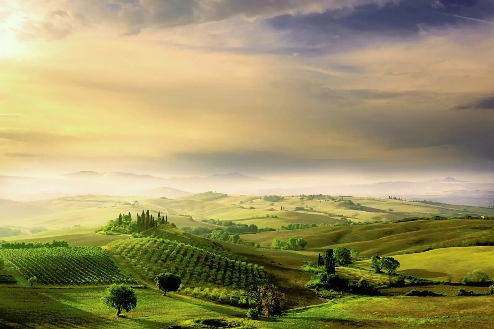 Podere Belvedere's Sunrise - Arnaud Bratkovic Hahnemühle von Pictufy