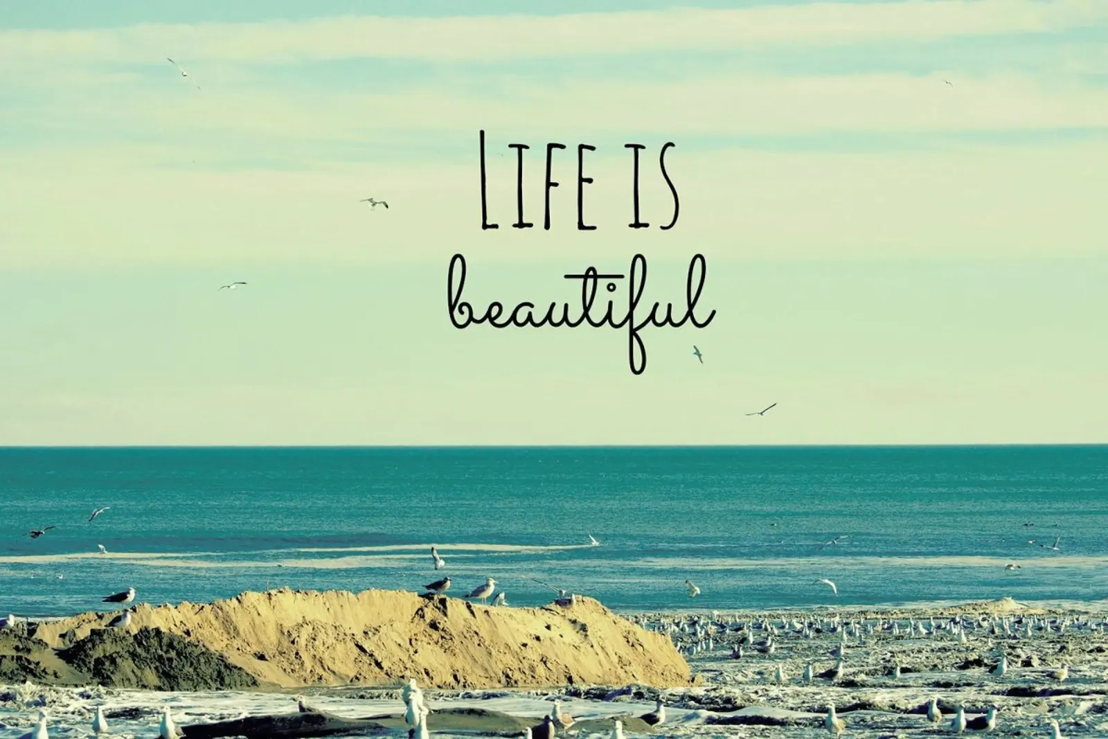 Life is Beautiful pellicola backlit da Robin Delean