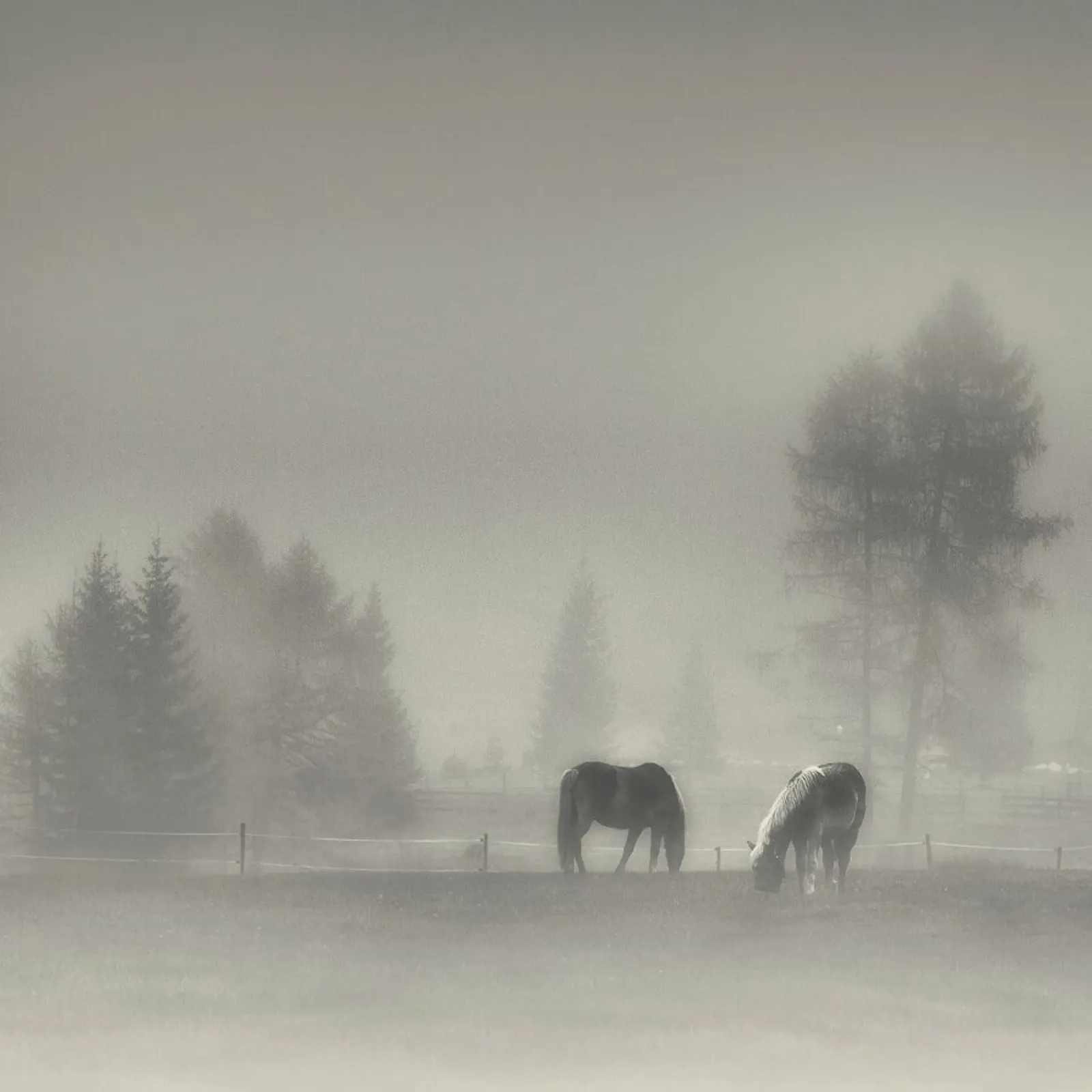 Timeless Moments - Swapnil canvas met Baklijst van Pictufy