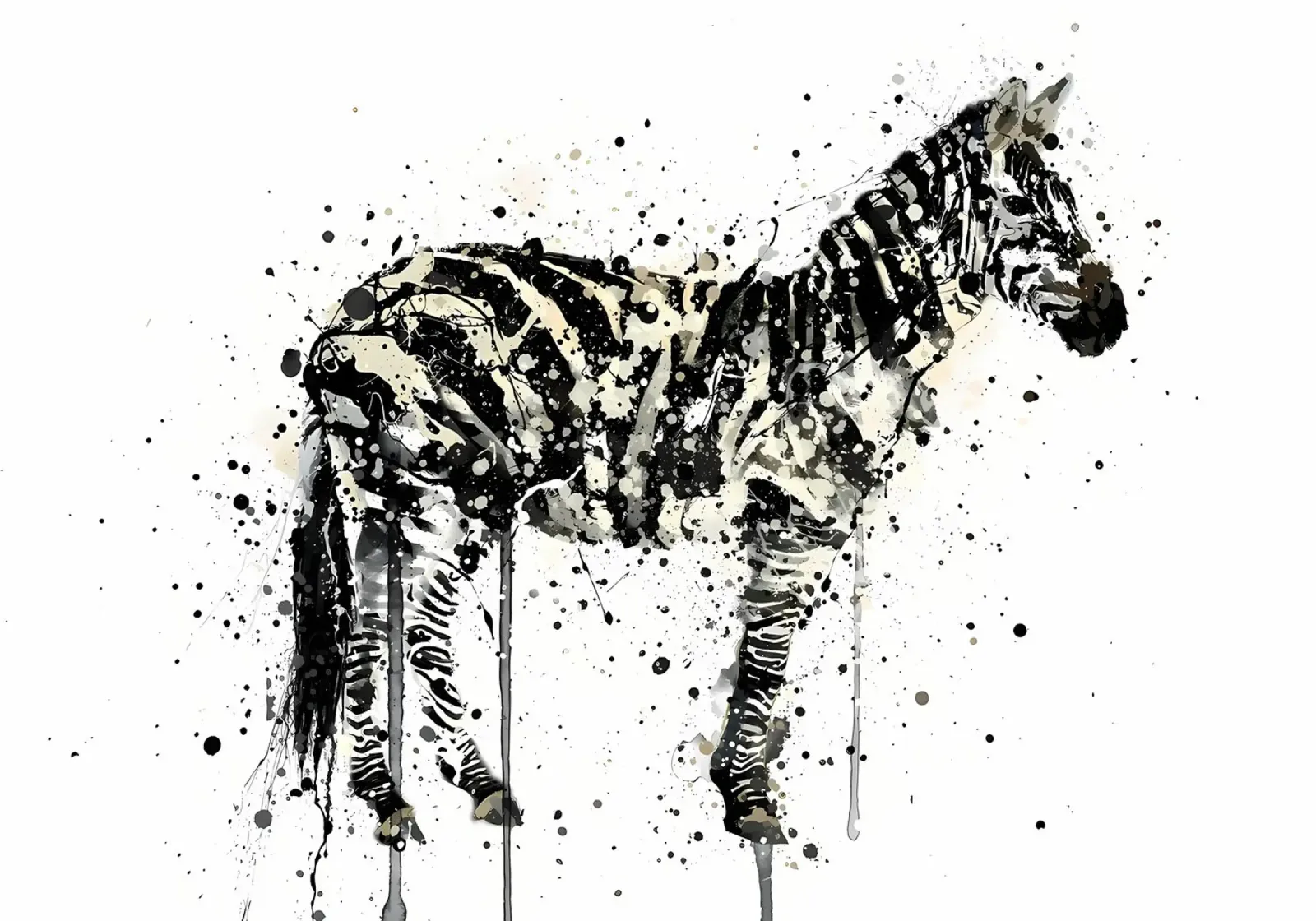 Watercolor Zebra pellicola backlit da Nami