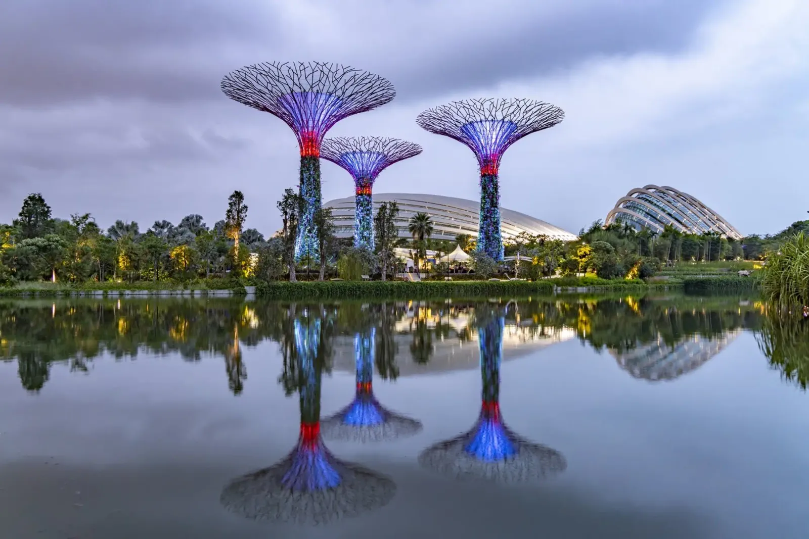Super Trees Singapur carta hahnemühle da Reisefotografie - Bilder aus aller Welt
