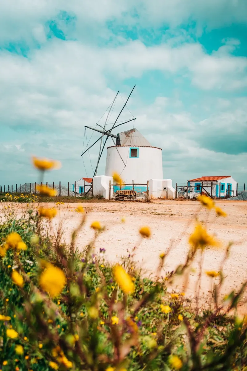 Mediterranean windmill in Portugal with wildflowers and clouds canvas with Floater frame by Bold and Retro