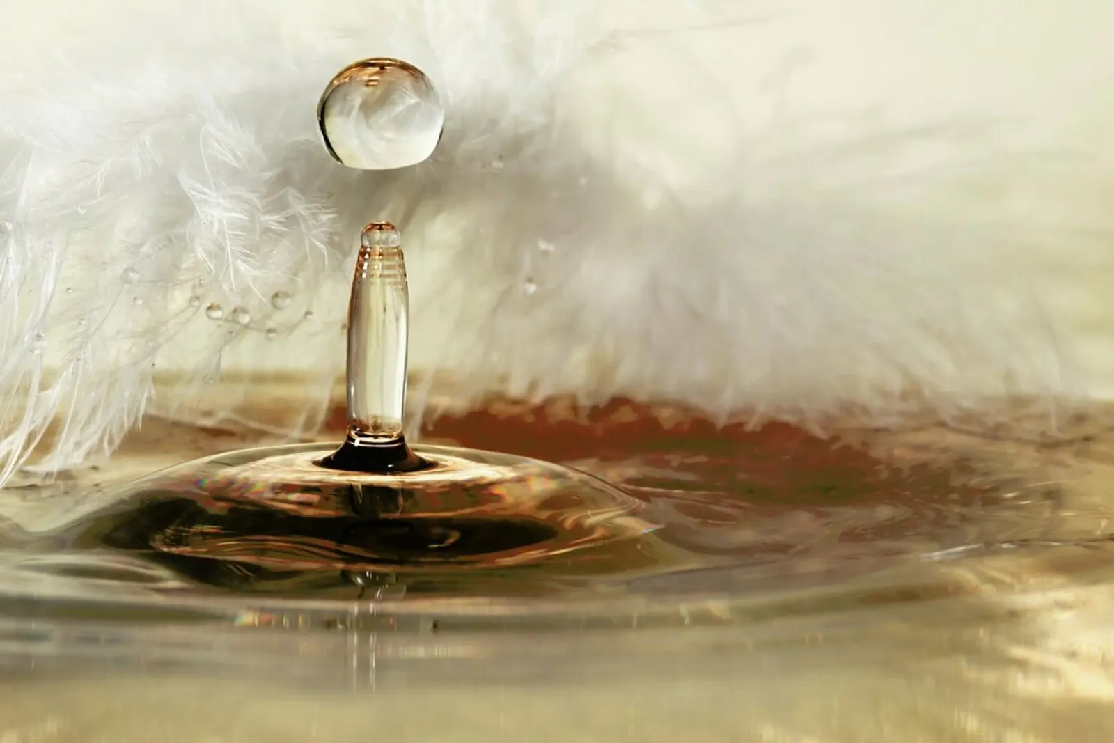 Golden Feather Drops plexiglass da Pictufy