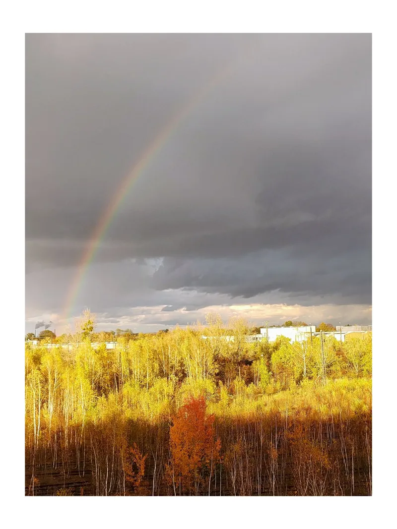 rainbow pellicola backlit da SunflowerDE
