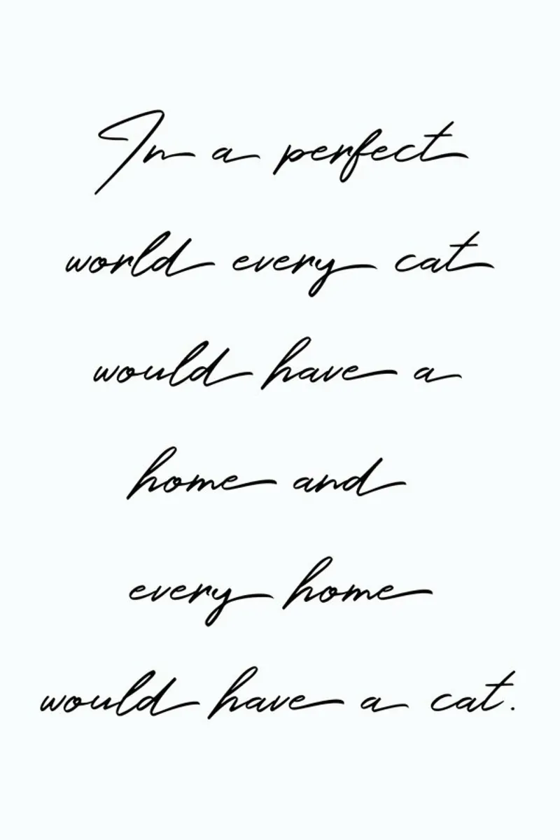 Cat poster da KRUTH DESIGN