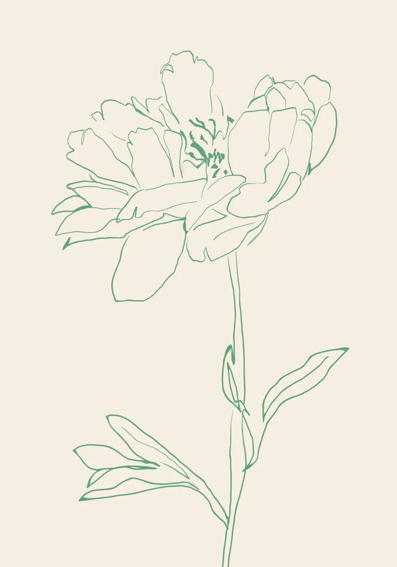 Dessin au trait de fleurs 16 poster de LeaDArt