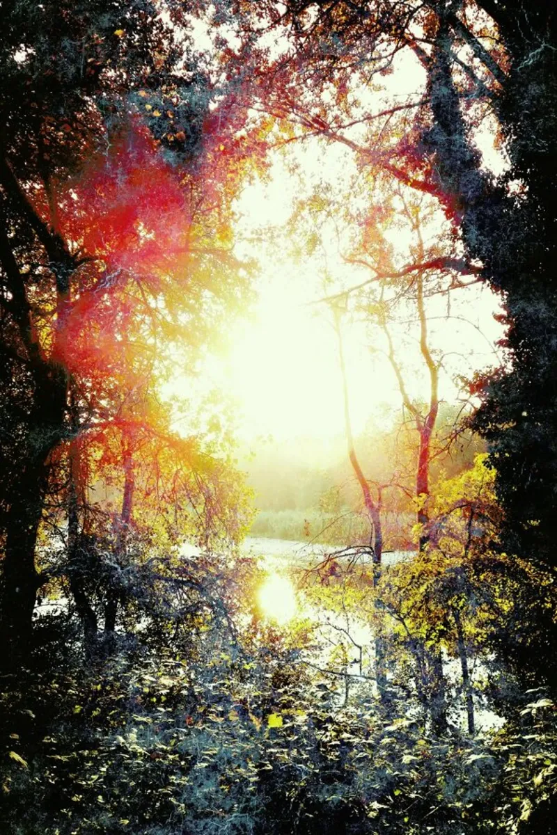 Sunset Gift canvas by Angelo Cerantola