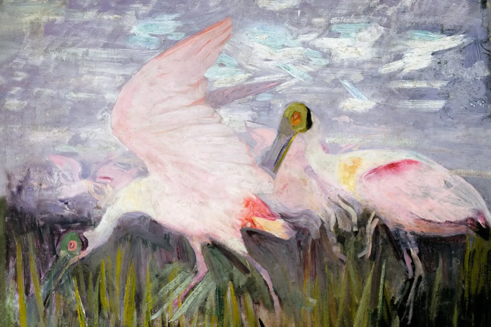 Vogel rosa pink tela con Cornice a cassetta da Second Canvas
