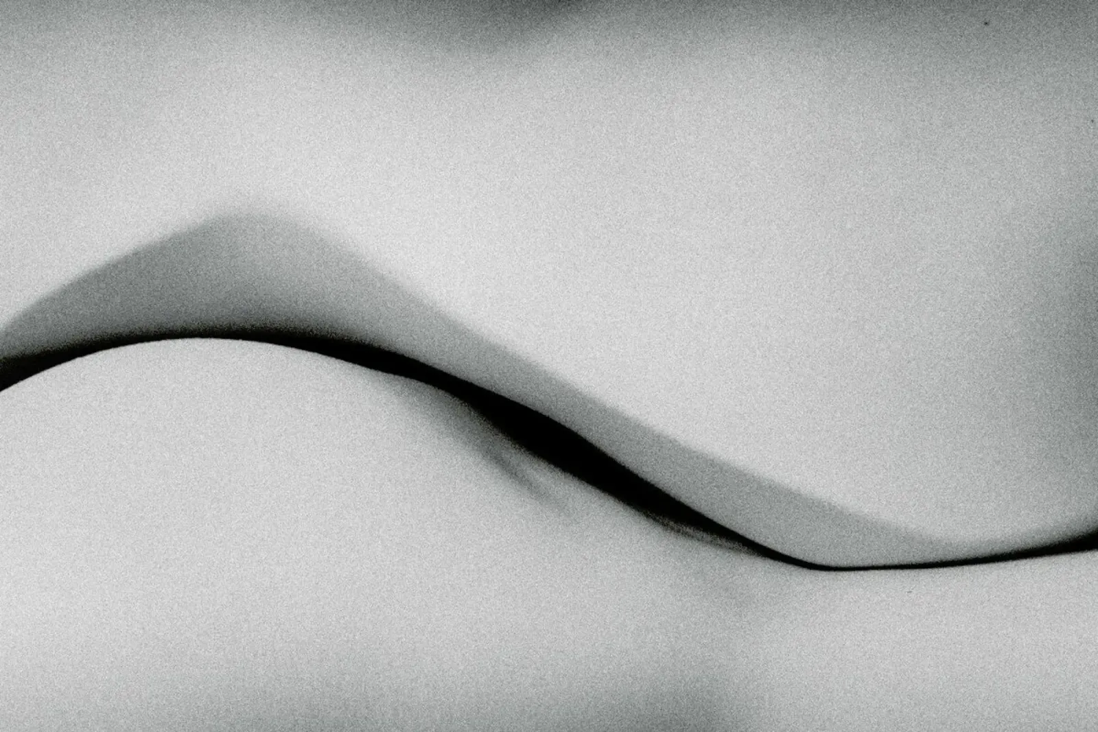 Curved Memories pellicola backlit da Efacts Photography