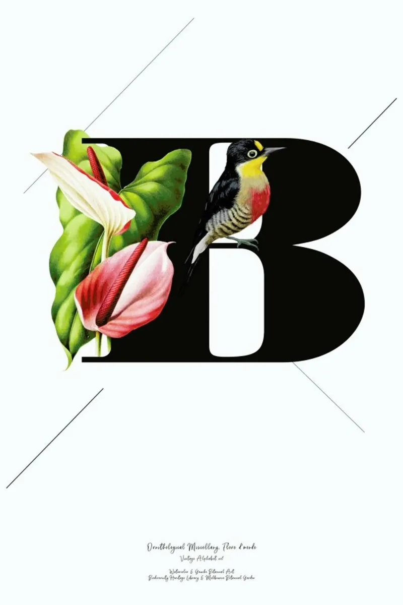 Botanical Alphabet - B alluminio dibond da Froilein Juno