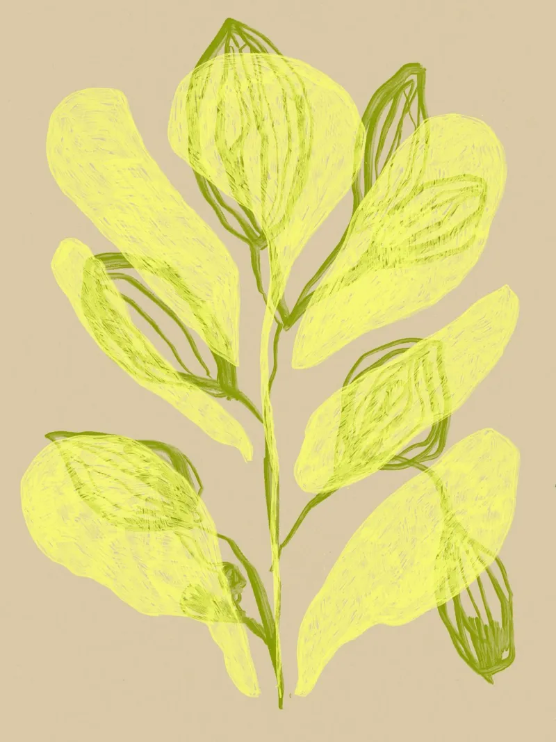 Color Bloom No 16 pellicola backlit da treechild