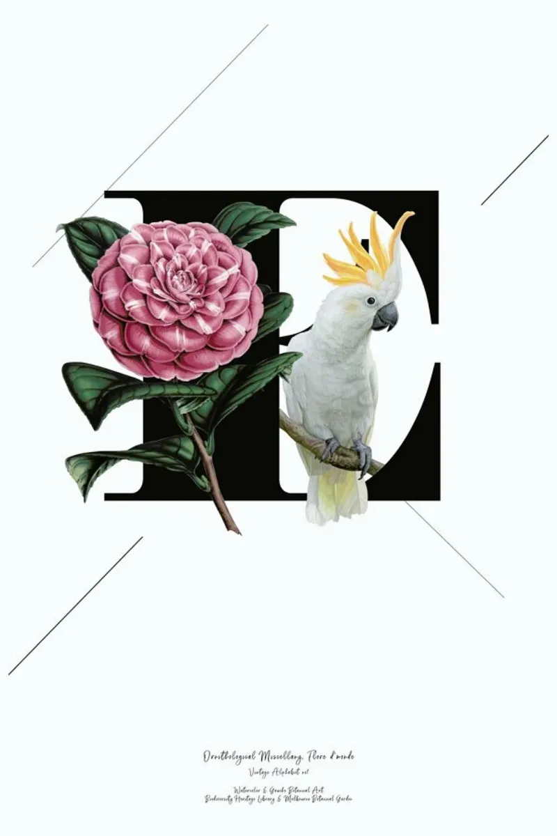 Botanical Alphabet - E pellicola backlit da Froilein Juno