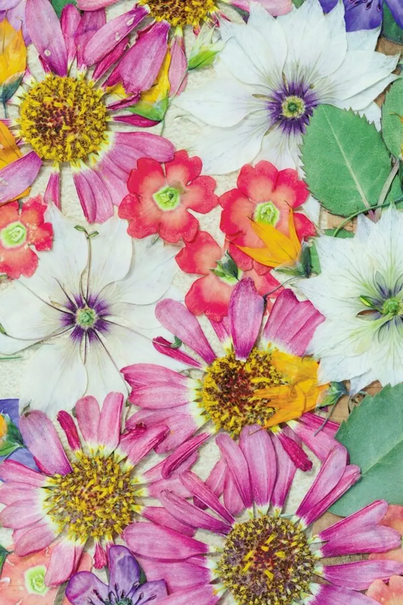 Fragile Flowers alluminio dibond da Curious Collections by Marielle Leenders