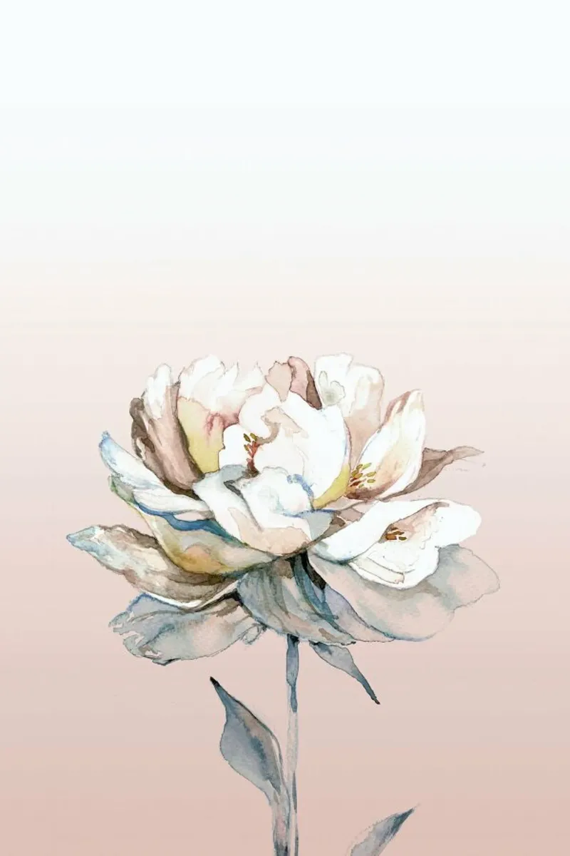 Peonia rosa acquerellata poster con telaio in alluminio da Susana Miranda ilustracion