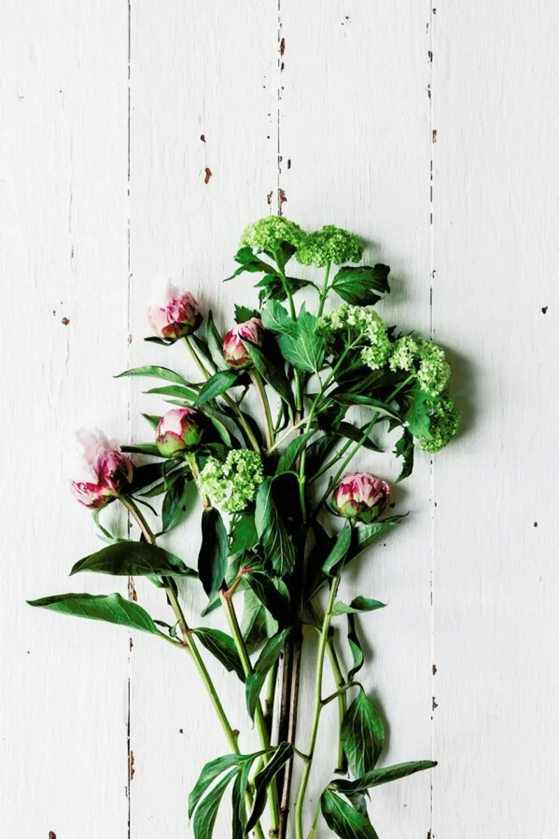 Frühlingsblumen hahnemühle by Eat this