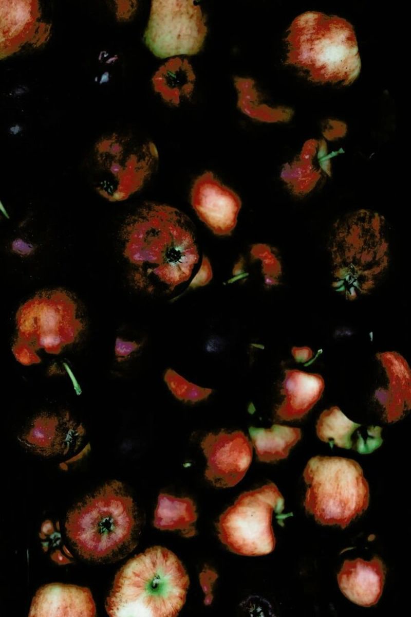 Apfelkiste pellicola backlit da Eat this