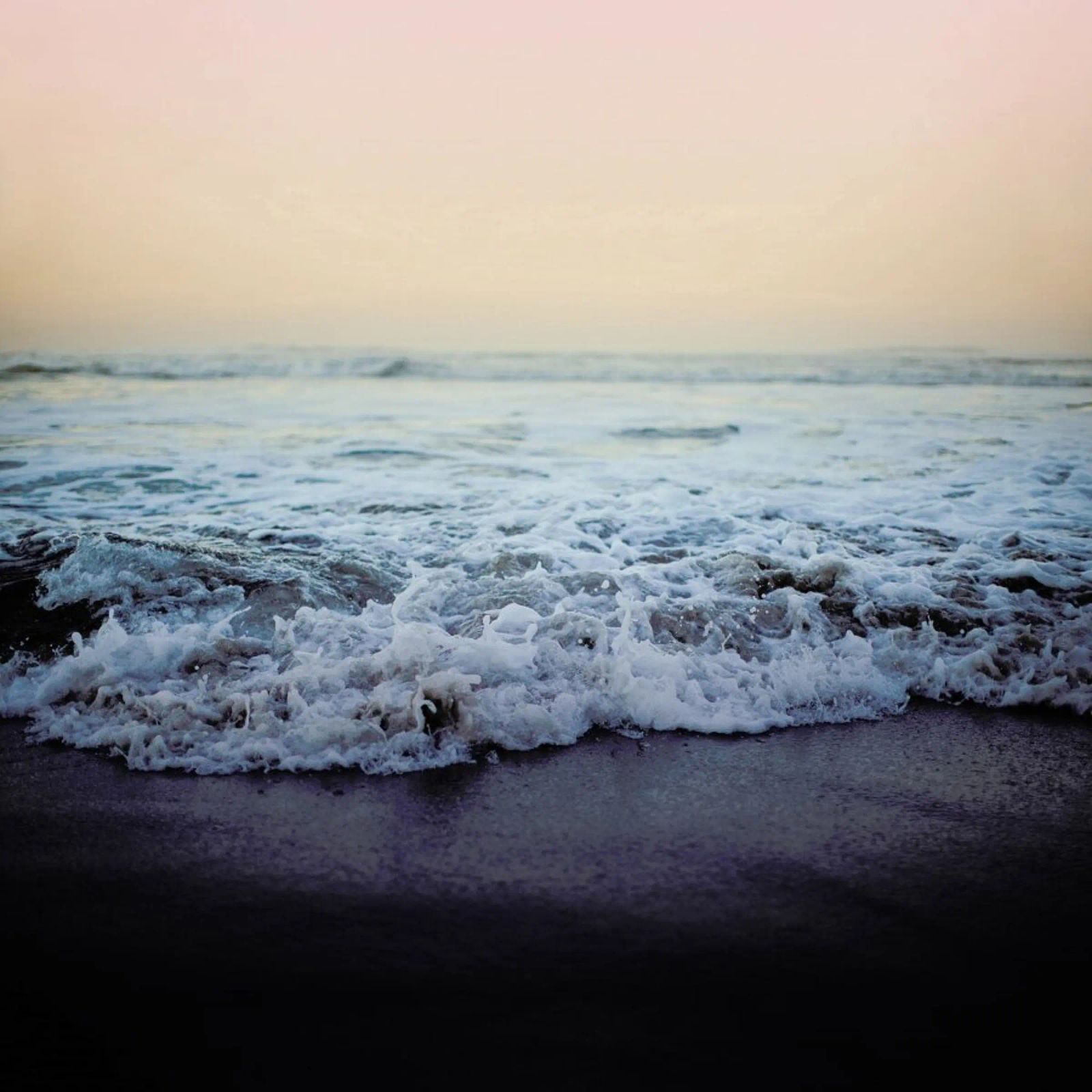 Crash into me pellicola backlit da Leah Flores