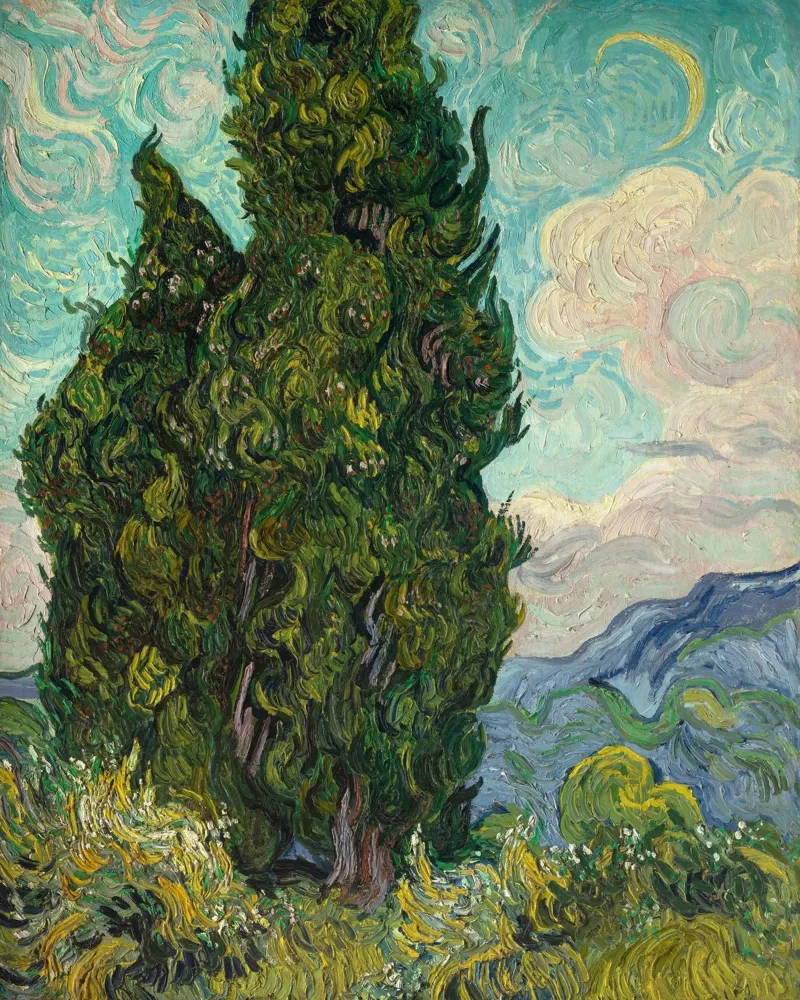 Vincent Van Gogh - Cypresses canvas by Timeless Artworks