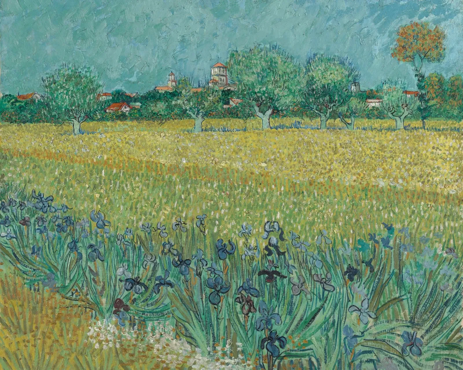Vincent Van Gogh - Campo con iris vicino ad Arles poster con telaio in plastica da Timeless Artworks