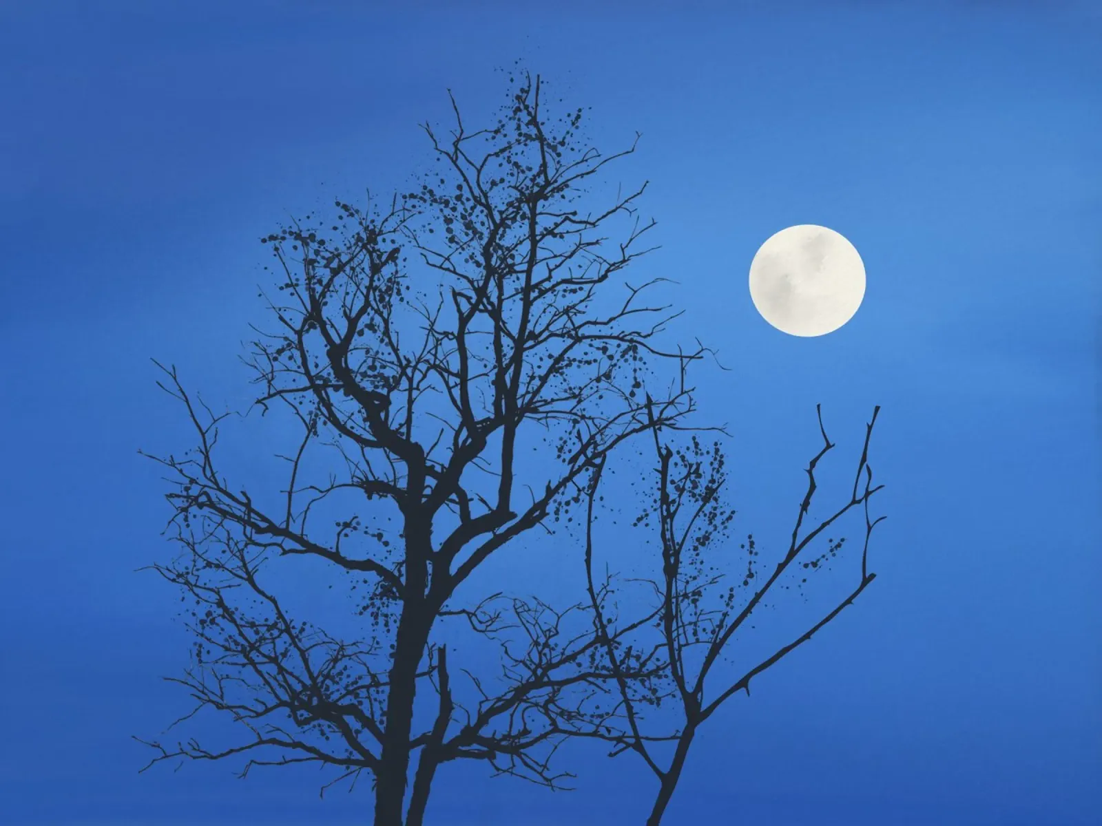 Blu notte di luna piena pellicola backlit da Little Dean