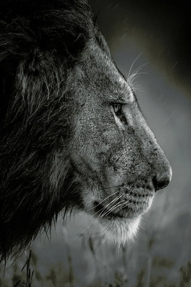 Thinking under the Rain - Faisal Alnomas alluminio dibond da Pictufy