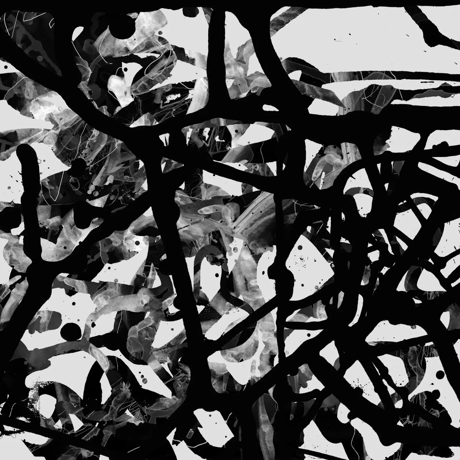 bw44 acrylic glass by Giulio Iurissevich