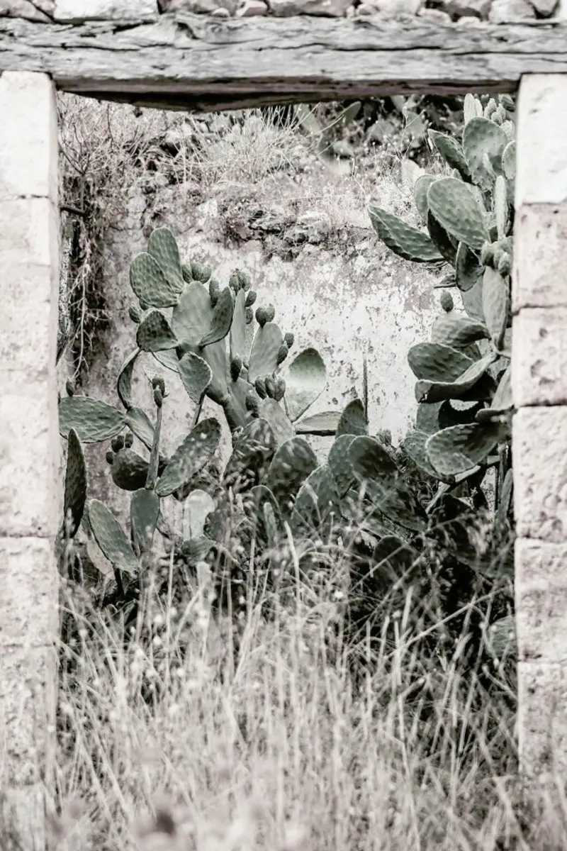 Nature Rules poster con telaio in plastica da Shot By Clint