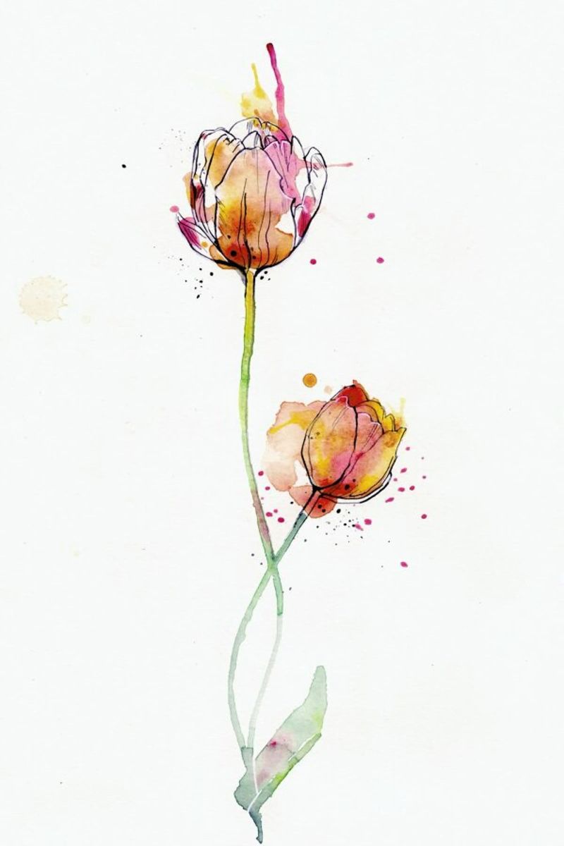 Tulip poster da agnes-cecile