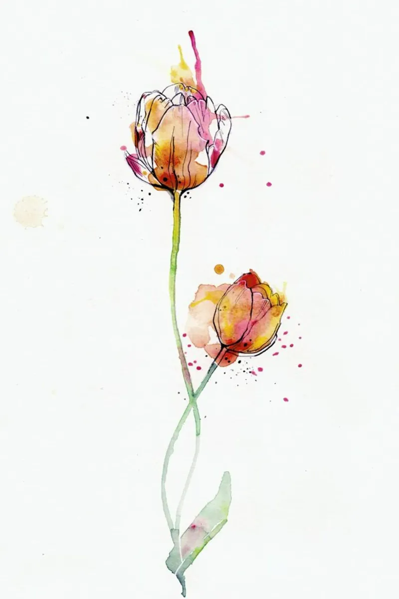 Tulip poster da agnes-cecile