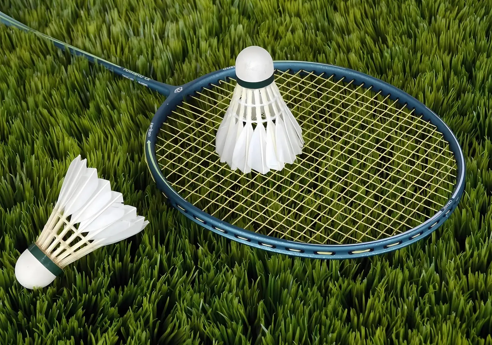 Badminton Shuttlecock alu-dibond by allison