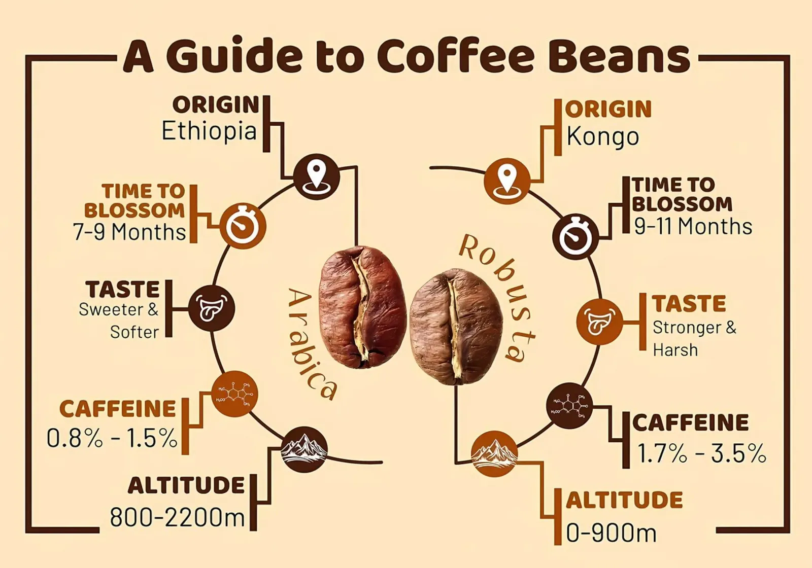 Caffettiera Breve pellicola backlit da Eames