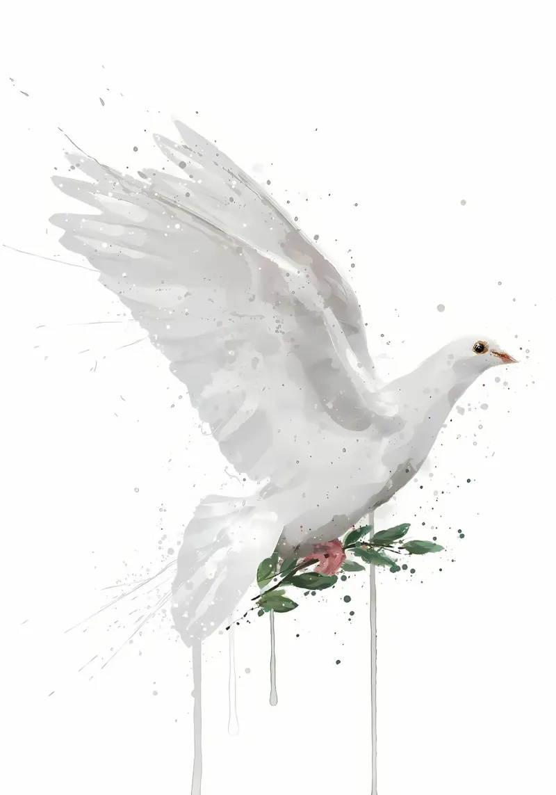 Dove Bird canvas by Allaire