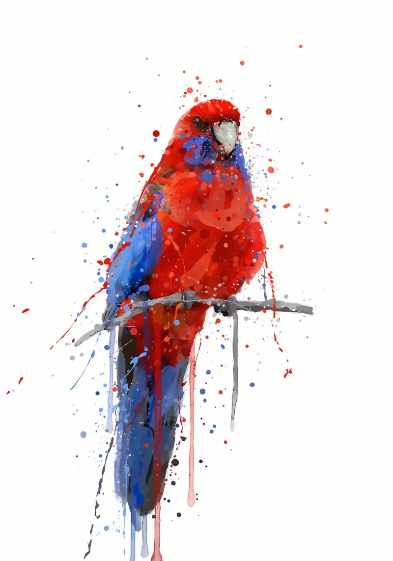 Pappagallo Rosella pellicola backlit da Allaire