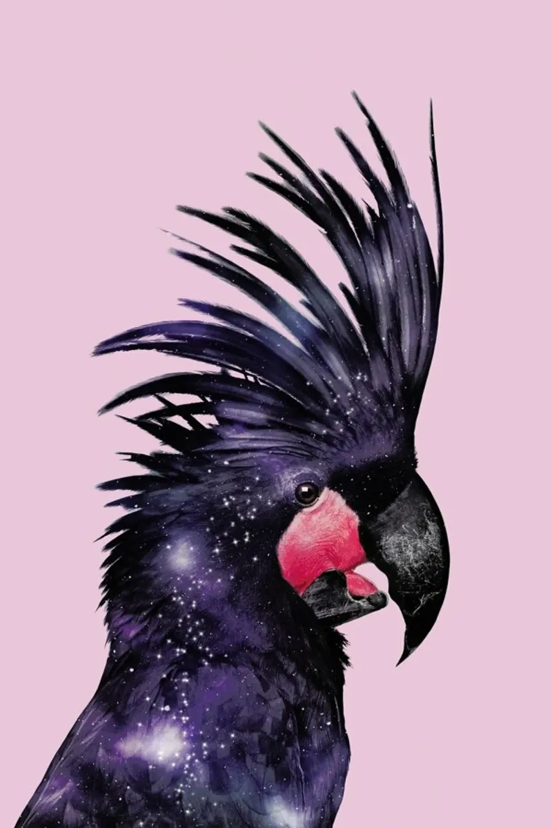 Galaxy Bird pellicola backlit da Jonas Loose